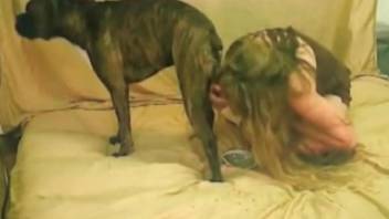 Good-looking blonde babe gets drilled deep by a dog