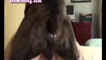 Black dog destroys her tight snatch in the missionary pose