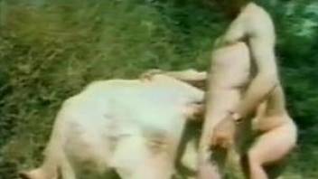 Vintage animal porn action featuring dogs and ponies