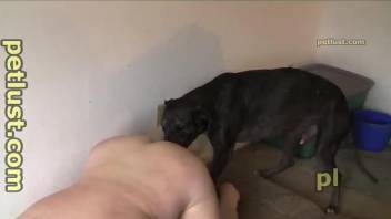 Homemade bestiality sex action with a big black doggy
