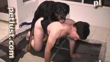 Chubby gay dude getting dicked by a kinky dog