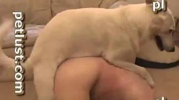 White dog orally fucks a horny bearded owner in amateur animality XXX