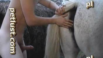 Dude with a hard cock fucking a seductive mare