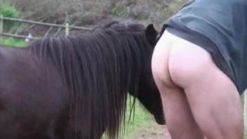 Big booty dude getting fucked by a hung stallion
