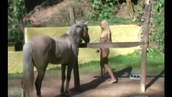 Lanky Latina gets ready to get fucked by a stallion