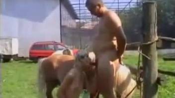 Farmer nicely impaled a cute pony in doggy style pose