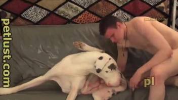 Seductive guy fucks a horny white dog named Greta