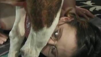 Nerdy whore gags with the dog dick on live cam