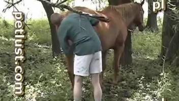Dude drilling a mare's pussy in a hot porn movie