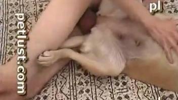 Dude drills a dog's delicious pussy on camera