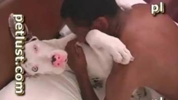 Awesome dog beastiality fuck with a submissive animal