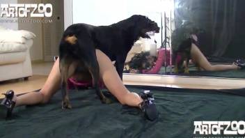 Dog humps gorgeous woman in both her tiny holes