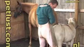 Dude licks a sexy mare and fucks its offspring