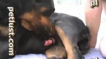 Gay man bends for the dog's dick and tries anal