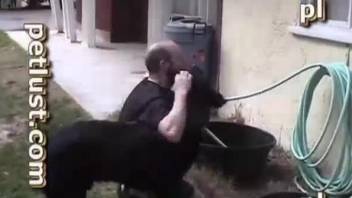 Bearded dude getting his asshole fucked by a dog