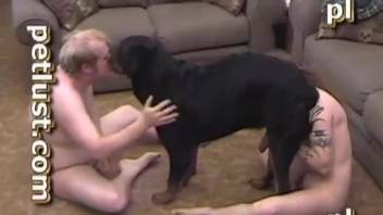 Gay zoophiles fucking each other and a sexy dog