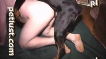 Horny men handling hot cocks with the greatest ease