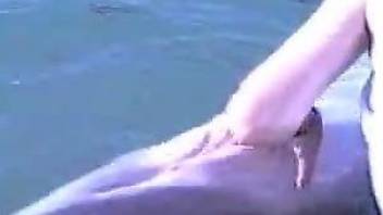 Bitch fist fucks dolphin to fulfill her sexual desires