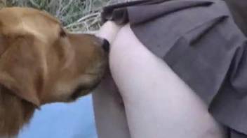 Blonde beauty gets intimate with the dog in rough scenes