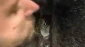 Dude buries his stiff penis in a greedy horse hole