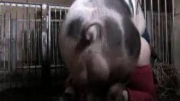 Sexy pig fucking a big booty bitch from behind
