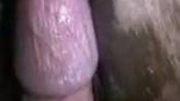 Guy's veiny cock cums all over that gorgeous hole