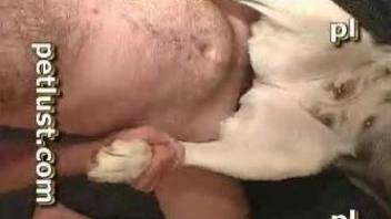 Hardcore dog pussy fucking with a really sexy dude