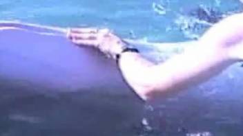 Dude pampering a dolphin's hot genitalia on camera