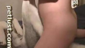 Dude fucking a dog's delicious pussy in a kinky zoo vid