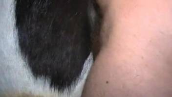 Dude wants to slide his cock inside of a dirty mare
