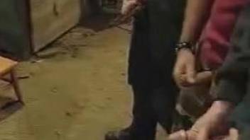 Clothed men fuck animals in dirty cam kinks