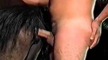 Horny man delights with fucking the horse hard