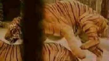 Excited tigers make love in zoo and are filmed on cam