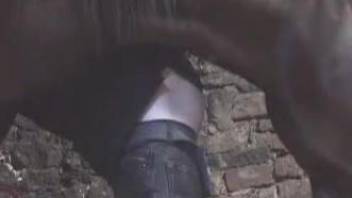 Horse fucks man in the ass until the guy falls exhausted