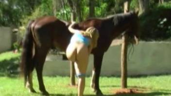 Comely blonde rubs wet pussy near beautiful stallion