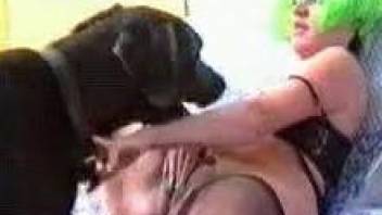 Green-haired slut and big black dog fuck in doggy style pose