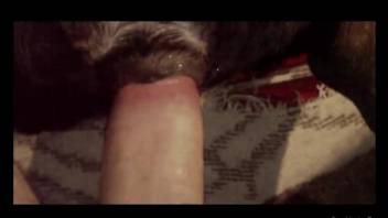 Nice homemade video of guy's hot sex with own doggy