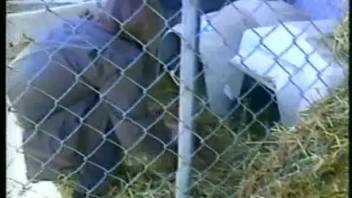 Plump girl 18+ being screwed by a group of aroused beasts