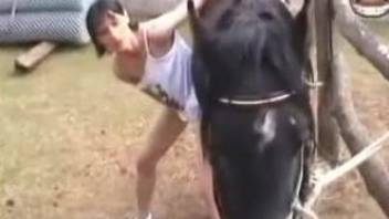 Horse covers slut with jizz after sex in fresh air