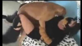 Trained hound penetrates slutty chick dressed like dog