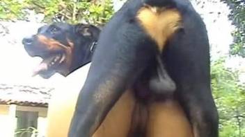 Excited Latina chick fucked hard by own domestic pet