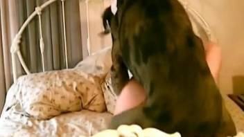 Bubble butt babe getting drilled by a sexy pooch