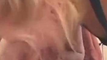 Bitch plays with the dog's cock in insane modes