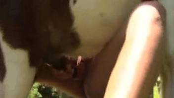 Playful chick gives her pony a perfect outdoor blowjob