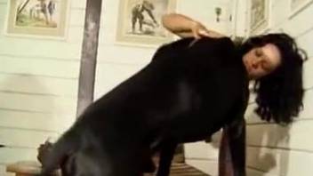 Brutal horse porn and dog zoophilia