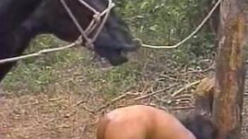 Outdoor fuck-fest featuring two horses and two girls