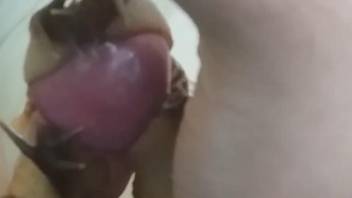 Kinky fetish porn with snails for a  needy guy