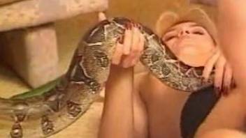 Two chicks give up and allow snake to drill their pussies