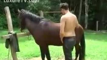 amateur lad tries a big horse dick in his butt hole