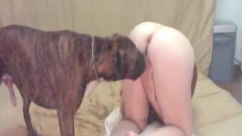 Naked beauty suits her soaked cunt with a huge dog dick